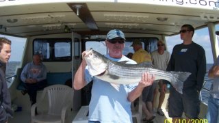 Chesapeake Bay Trophy Rockfish 3 #18
