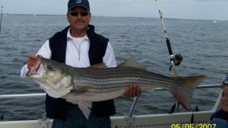 Chesapeake Bay Trophy Rockfish 2 #17