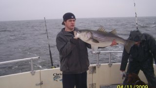 Chesapeake Bay Trophy Rockfish 4 #7