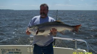 Chesapeake Bay Trophy Rockfish 3 #19