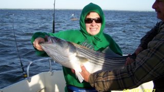 Chesapeake Bay Nice Rockfish #28