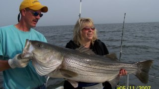 Chesapeake Bay Trophy Rockfish 2 #22