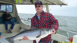 Chesapeake Bay Nice Rockfish #7