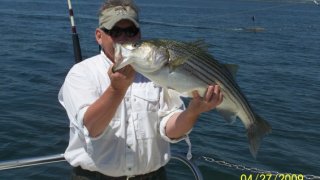 Chesapeake Bay Nice Rockfish 3 #17