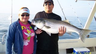 Chesapeake Bay Trophy Rockfish #12