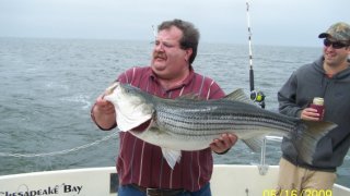 Chesapeake Bay Trophy Rockfish 3 #22
